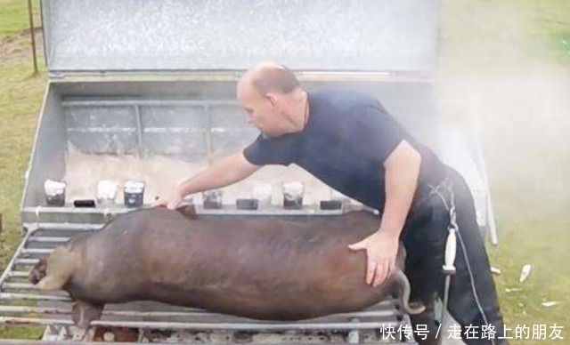 入机器内|猪好吃可毛却不好刮,于是发明了“刮猪毛神器”,设计非常的人性