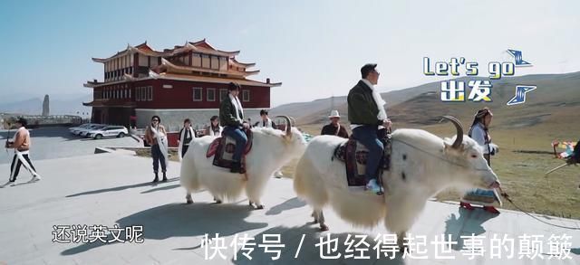 跑男团|跑男黄河篇开播,节目枯燥乏味,跑不动的跑男还能看什么?