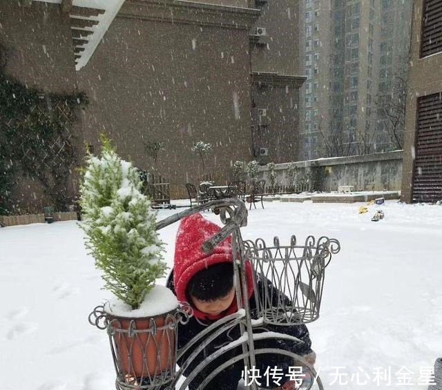 矾根|为了300㎡露台花园,毫不犹豫买了这房子,在城市屋顶过上田园生活!