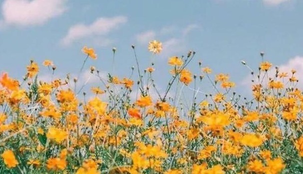 二陈汤|秋天是身体排痰最好的季节,这样做养肺排痰,清除体内陈年垃圾!