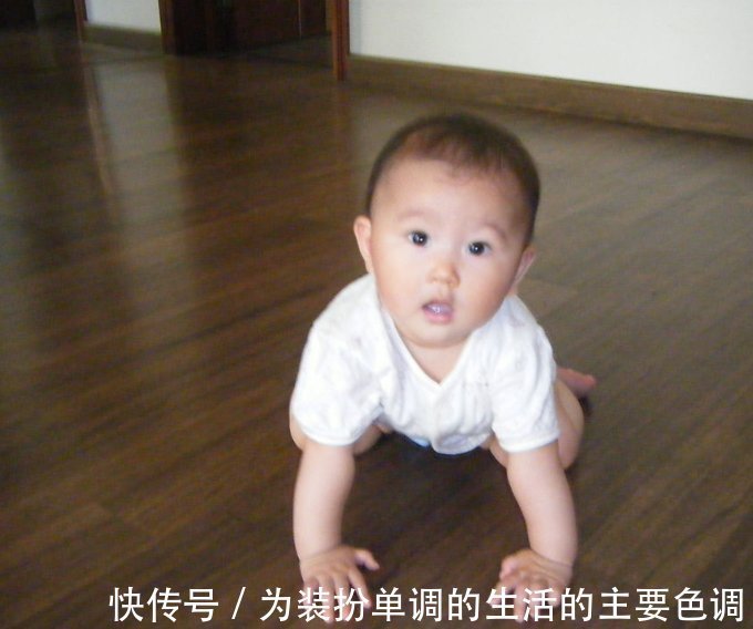 训练|多多练习“宝宝趴”,将来才能“宝宝爬”,这才是进阶训练