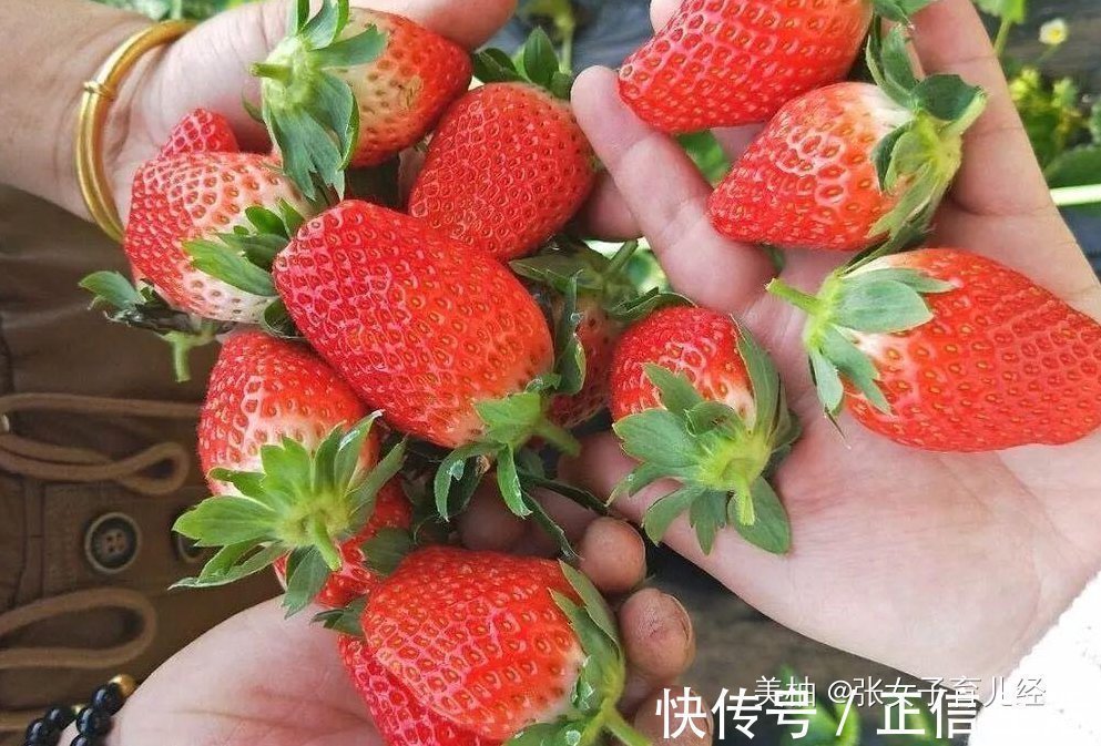 超市|2岁娃超市拿草莓吃,孩子被工作人员当“小偷”,宝妈的做法获赞