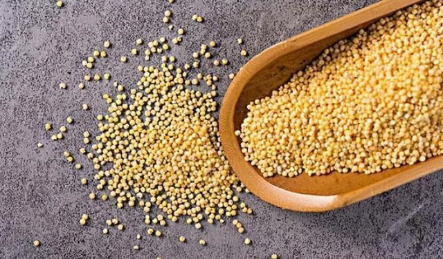 千辛万苦找饵料,你却不知这特效饵,大鲫鱼一见就狂咬,特过瘾