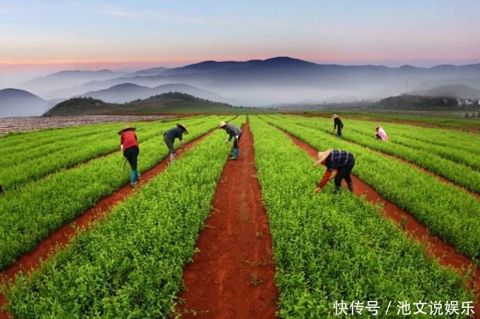 证治准绳|一张治脾虚的大方子！调理腹胀、不消化、大便稀软