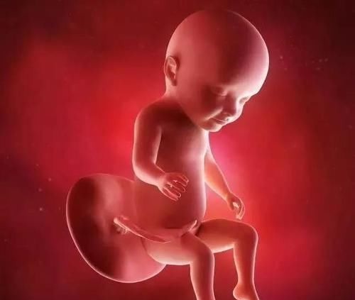 胚胎|怀孕1~10个月,胎儿发育变化全过程!想“修炼成人”还得过四关
