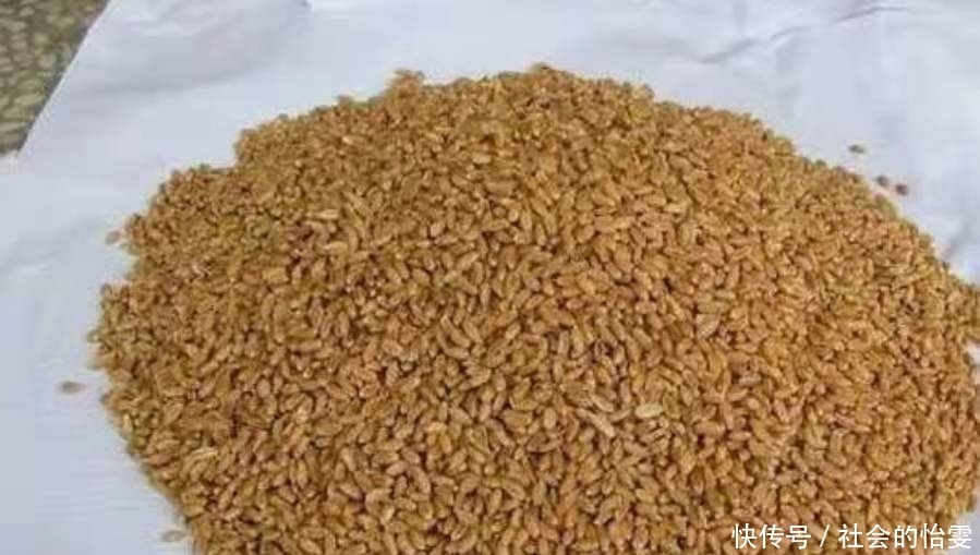 夏季|夏季不管在哪钓,打窝诱鱼万万不可少了这三步,切记莫忽视