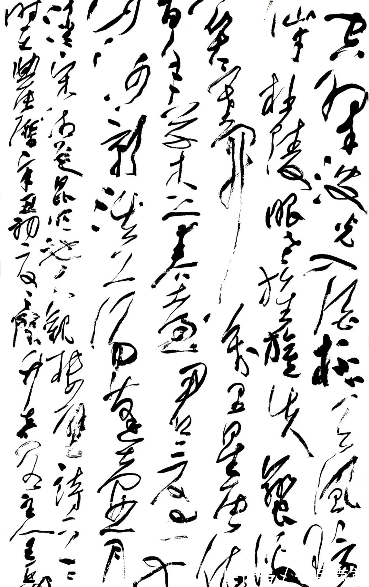 副主席&王亚洲的草书虽生拉硬拽,但质感很强,节奏跳跃,网友:野藤体