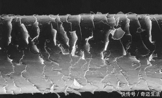 洗发水时，养成3种好习惯，5天内不出油，脱发会越来越少