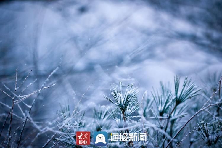 仙境|山东日照：玉树琼枝，银装素裹 雪中大青山开启仙境模式