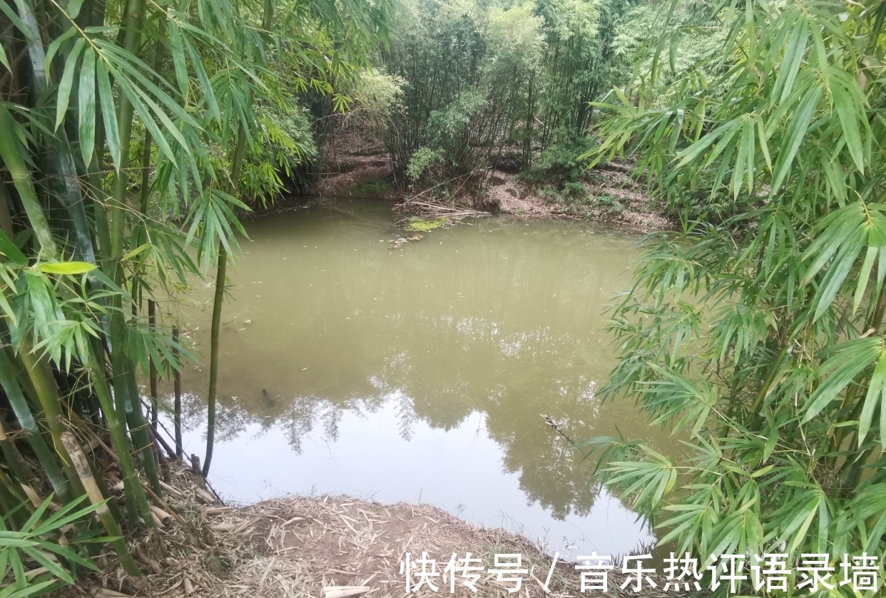 初春钓鱼误区!钓鱼人一定要明白,否则渔获惨淡!