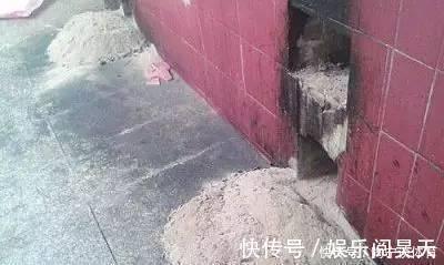 养花|什么药片水、黄豆水,都不如家里“2种灰”,养花杀菌灭虫、补肥