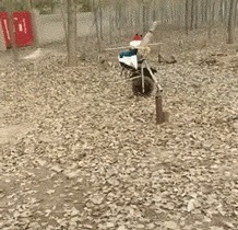 |搞笑GIF：你这真是太忙了，还要拎东西还要打电话还要抓着孩子！