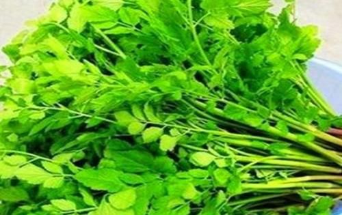 美容养颜|对身体最好的3种食物，美容养颜、延缓衰老，爱吃就赚了！
