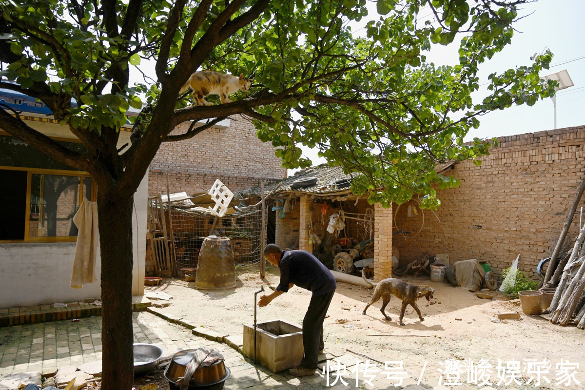 农村大娘炒菜不用锅,一把舀饭勺搞定,炒一勺菜夫妻二人吃不完