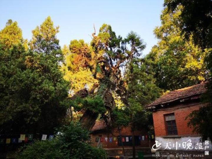 北泉寺|冬游确山北泉寺