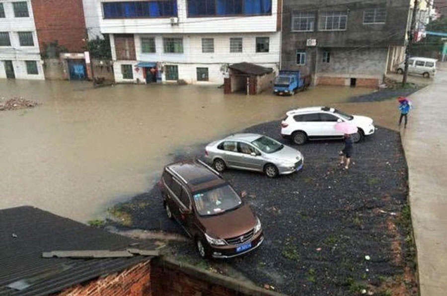 洪水过后去钓鱼，这么大的黄颡鱼，还是头一次钓获