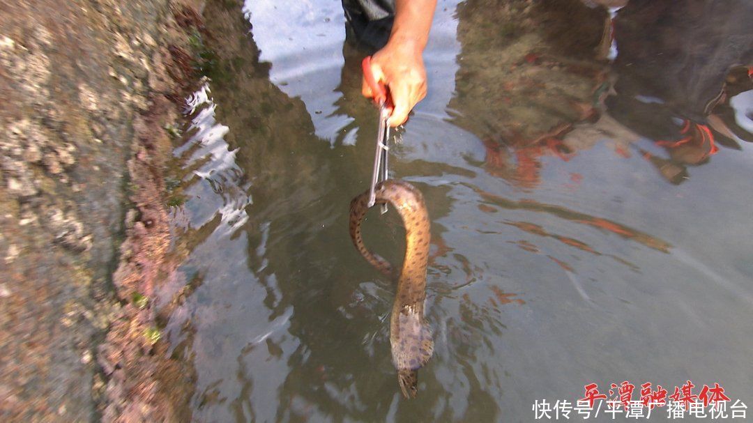 沿海|明晚7点，央视《生财有道》解锁平潭沿海新玩法