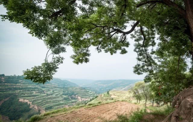 庄山浪水，34年愚公移山出来的风景