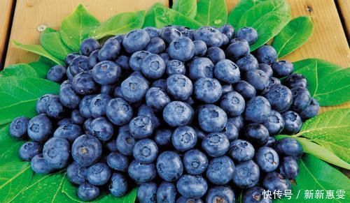 湿气|湿气重的人，5种食物平时可劲吃，轻松“赶走”体内湿气一身轻