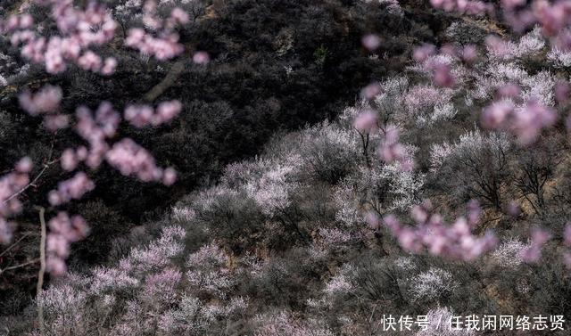 无人机在晋南大山发现桃花岛，7旬老夫妻隐居山中生活让人羡慕