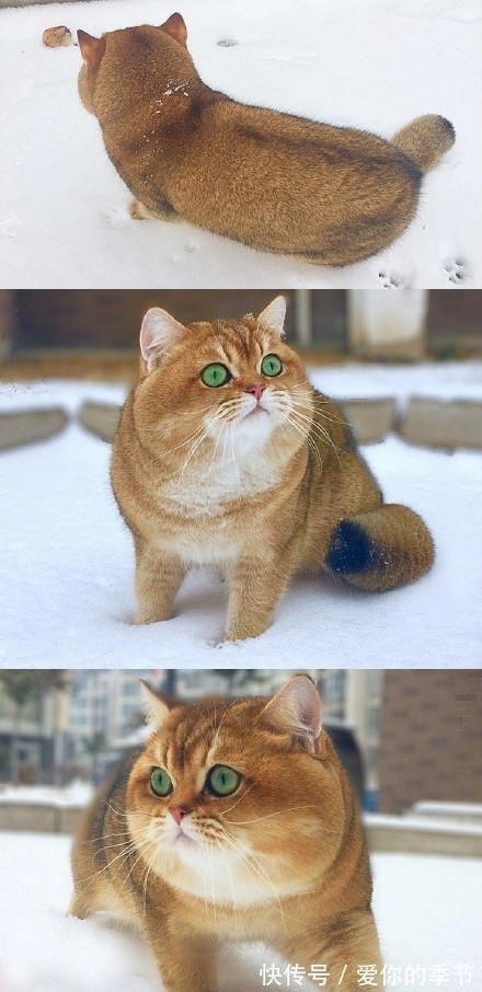 |幽默搞笑段子集:商场的按摩椅专区真是欢乐无穷啊,哈哈哈哈哈哈