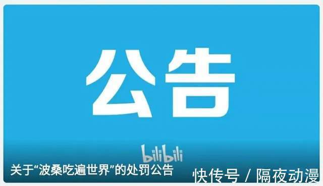 n2|从“B站百大”到“诈骗观众”,波桑是如何一步步掉落神坛的?