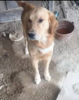 |搞笑GIF:看这熟练的程度 她们肯定不是第一次了