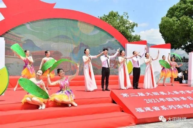 大田 开茶喽!三明大田“美人”娇艳绽放