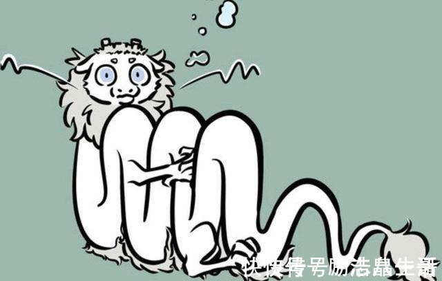 秃头|非人哉秃头并非压力大，纯粹被坑，最冤不过豆豆，最蠢却是烈烈