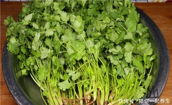 爱吃香菜|农村老奶奶教你香菜老一辈吃法,祖传秘方做一大罐子,家人超爱吃