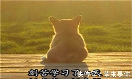 |幽默笑话:一个小姑娘家家的,学什么不好,学会撩人了!