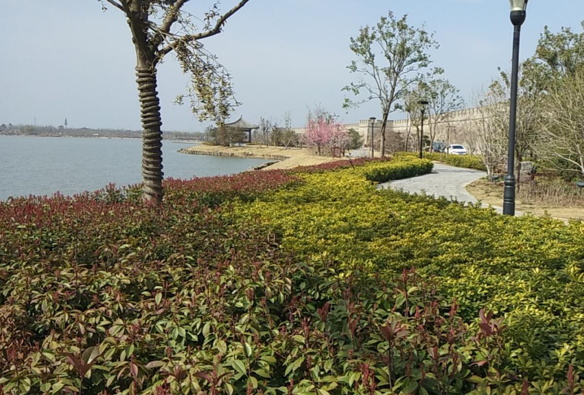 《古城焕春》 作者:田宜坤