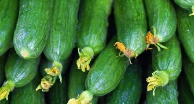 忠告黃瓜不能與此物同食,吃了就是沒病找病,還有人以為是補品