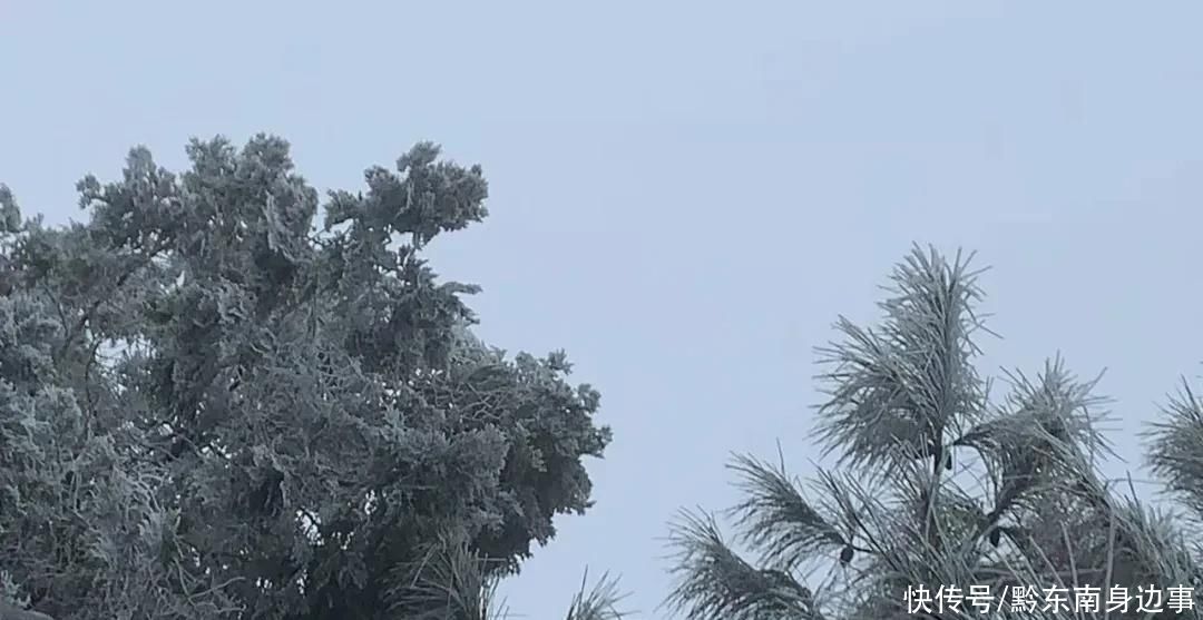 路段实施|凯里小高山一夜白头 最美雪景如约而至