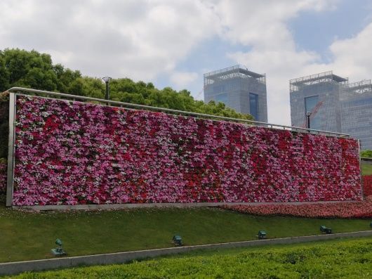 鲜花为笔，画出“五一”花瀑！浦东这些地标变“花境”，个个出片！