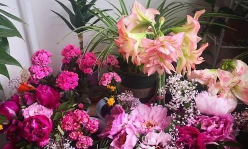 下部分|家里养花怎能少了它们!当花盆,独特、美观又省钱!