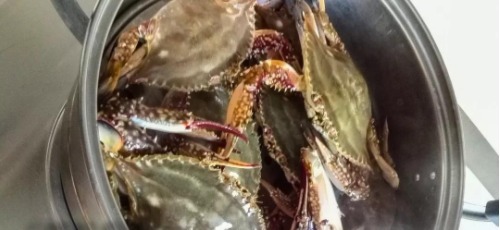 蒸出的螃蟹没有腿?原来第一步就做错了,难怪鲜味不足没有腿