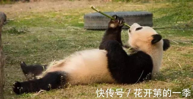 减肥|医生的走路减肥法，3个月瘦20斤