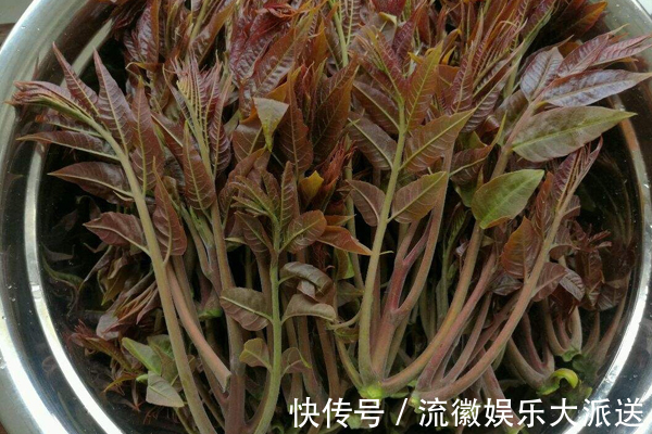 慢性疾病|女性想变美,吃此菜就对了,防脱发、养子宫、润皮肤,胃口也好了