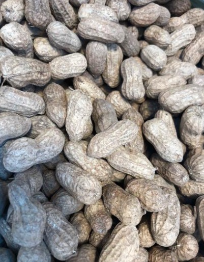 煮花生时，这4个要点要牢记，15分钟就煮好，咸香入味又解馋！