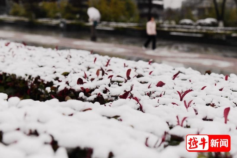 大会|绝美迎春雪！绍兴花式晒雪大会来啦