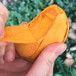 果肉|建议中老年人小暑前后,若条件允许,这5种水果每天可多吃一点