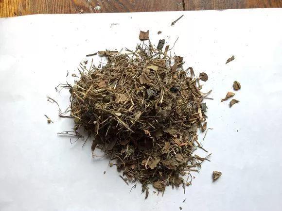 4种垃圾不会分类别担心,埋在花盆底,叶子绿得直滴油!