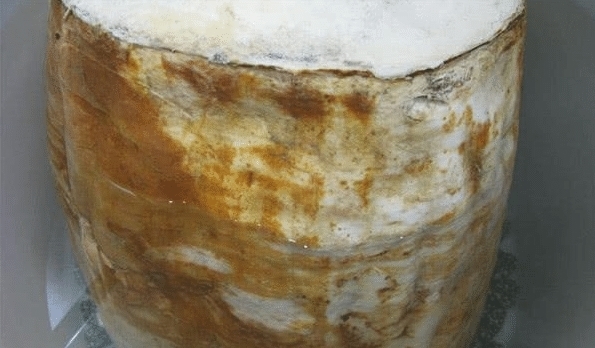 庐山@中国“太岁”是什么物种?揭开太岁的庐山真面目,你想都想不到