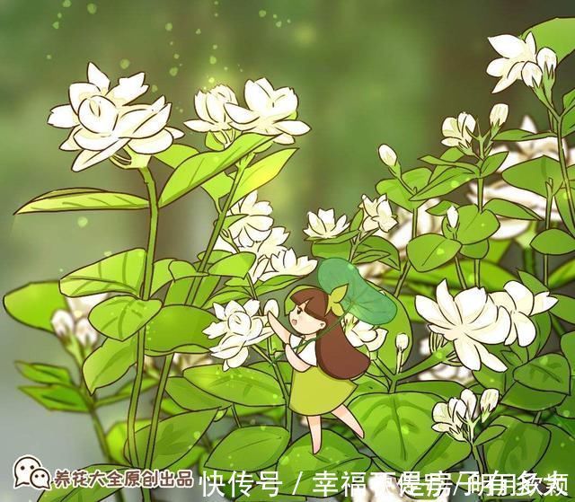 孕蕾|7句老祖宗留下的养花谚语,每一句都是精髓,赶紧记住