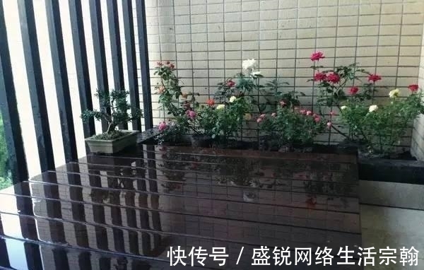 防水|老公在阳台做了个鱼池, 发到业主群里, 楼下直接找上门了!
