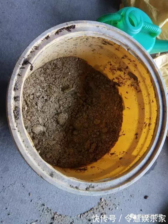 这2种“壳”丢了太可惜，埋花土里3年不板结，种什么花都旺！