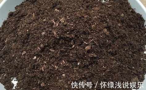 坏习惯|喜欢养花,先戒掉7个坏习惯,不然啥花也养不好,你占了几个?