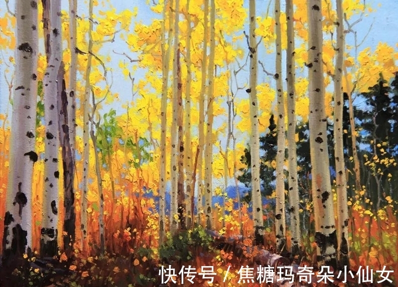 美国肖像协会!白桦林之美