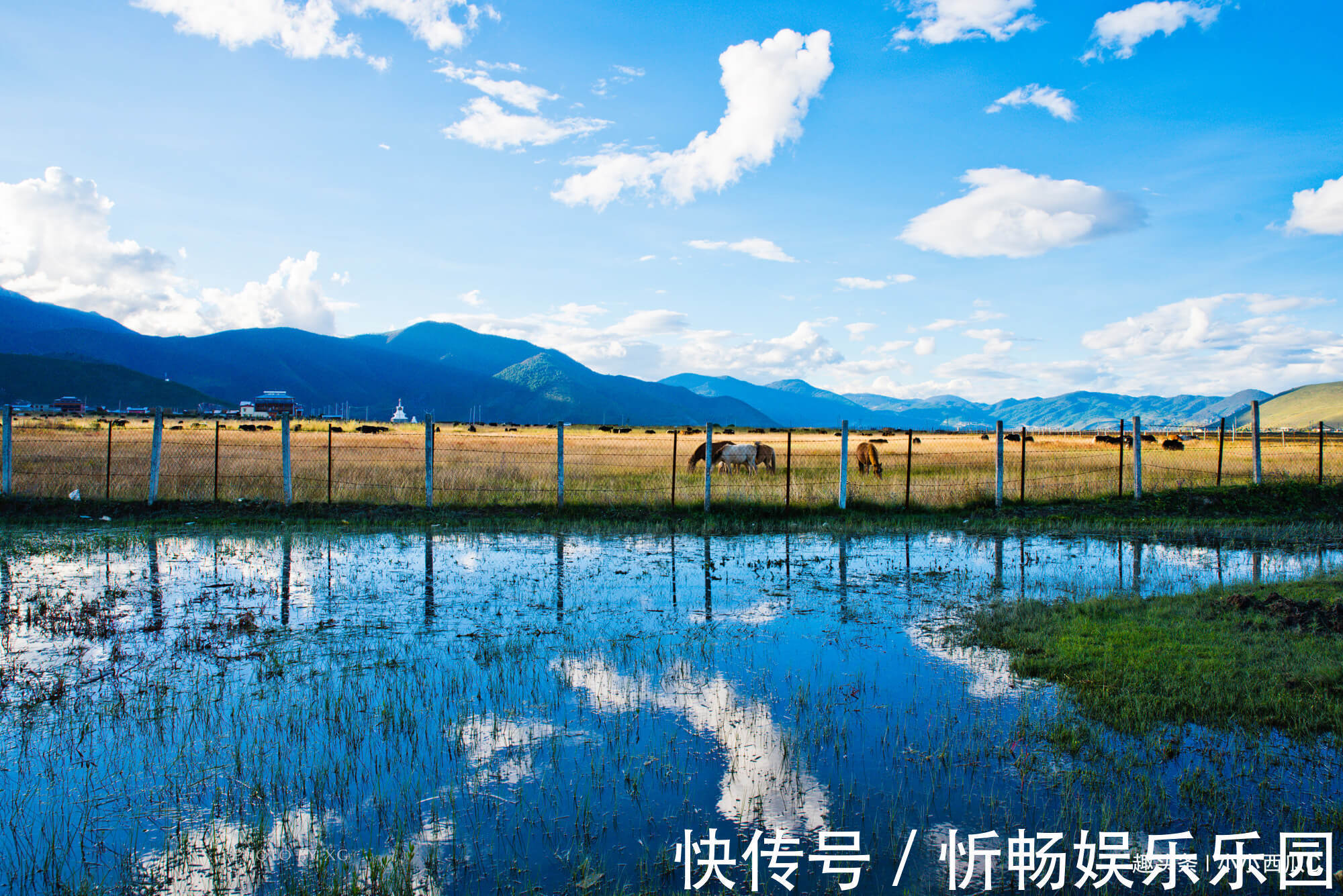 昆明|7月夏季最该去的旅行目的地，盘点全国最美的五大避暑旅游城市！